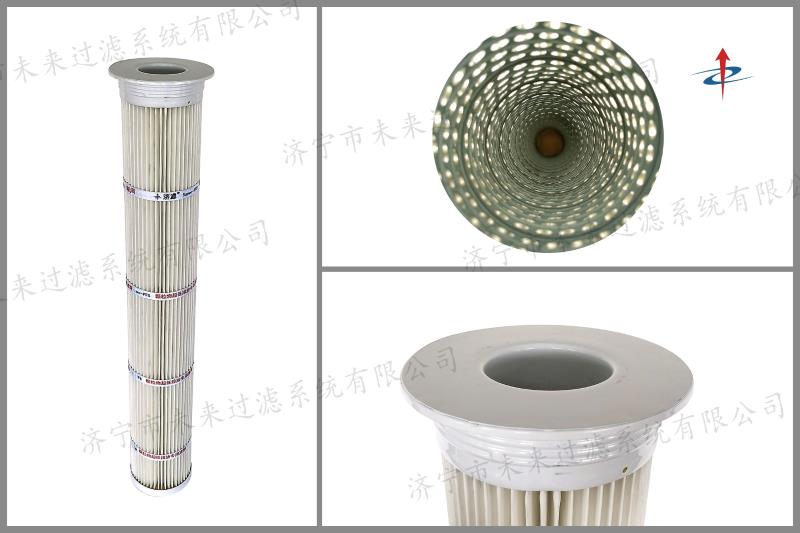 聚酯纤维PTFE覆膜LD在线平台-LD(中国)（喷塑端盖）